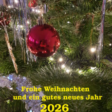 Frohe Weihnachten 2025